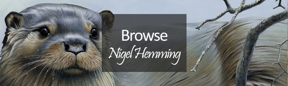 Nigel hemming prints - otter wildlife art