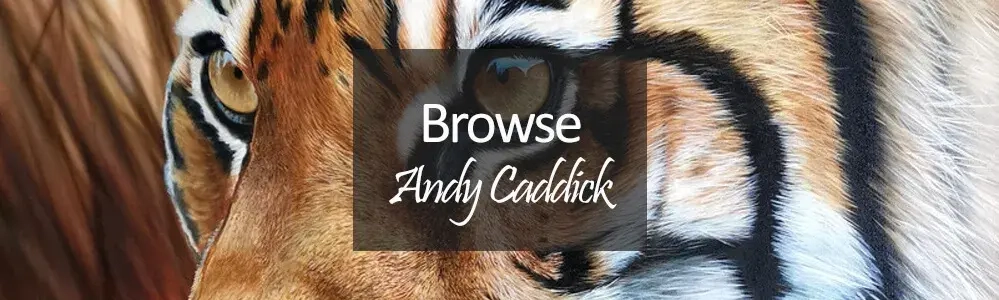 andy caddick art & originals - tiger eyes