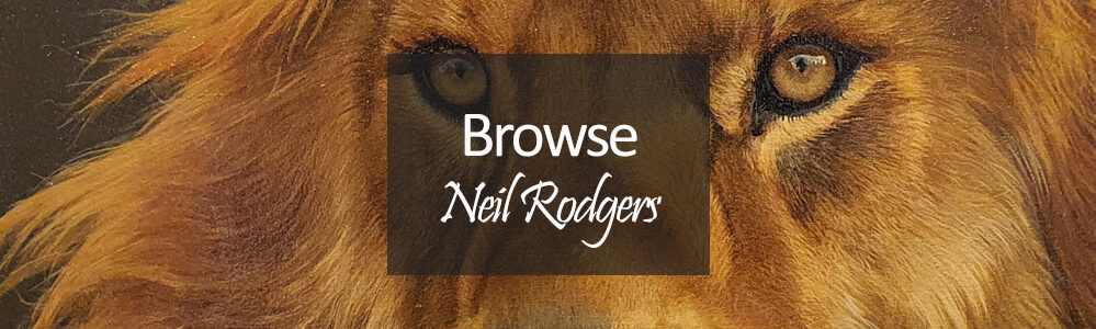 neil rodgers original art - lion pride