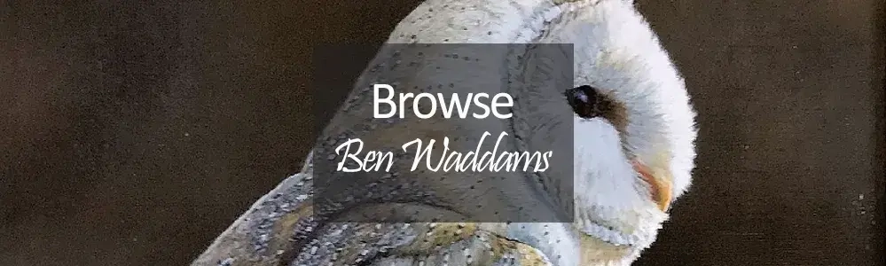 Ben Waddams Original Paintings