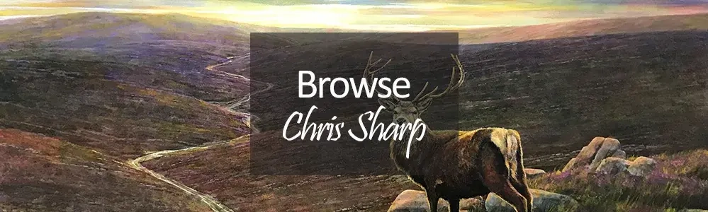 Chris Sharp Original Art Paintings