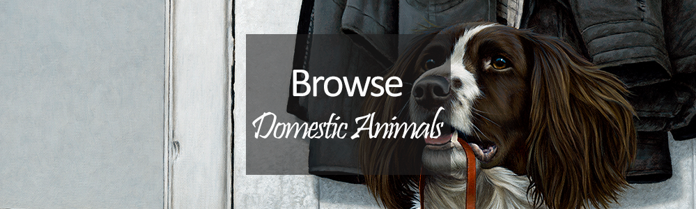 Domestic Animals - Spaniel dog artwork - Nigel Hemming