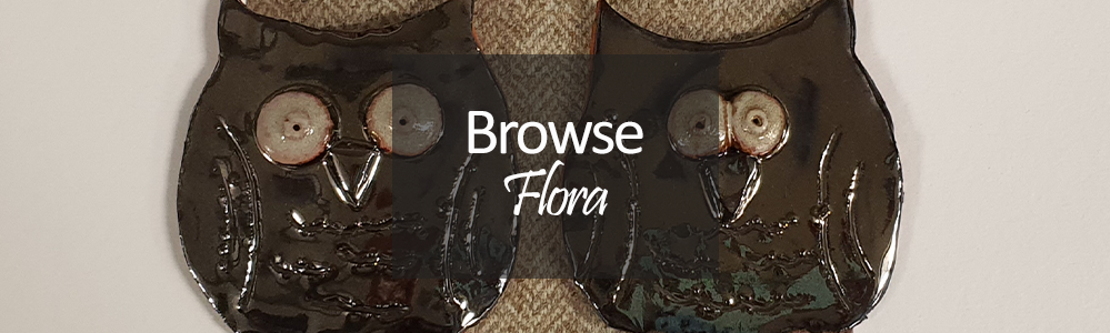 Flora Ceramic Art and Harris Tweed