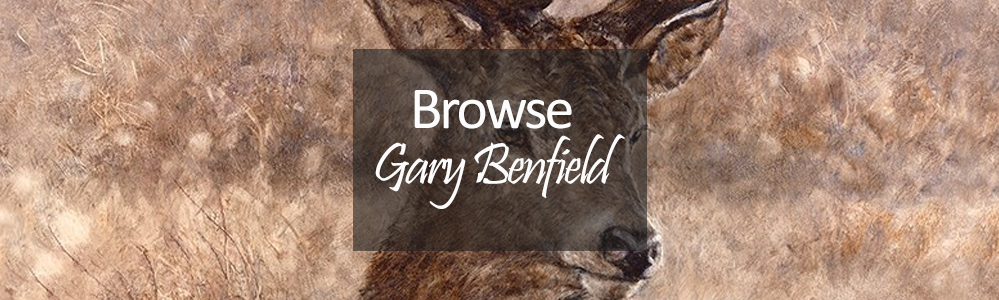 Gary Benfield Limited Edition Prints