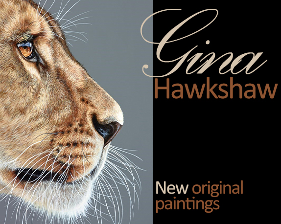 Gina Hawkshaw Original Paintings - Tiger Eyes
