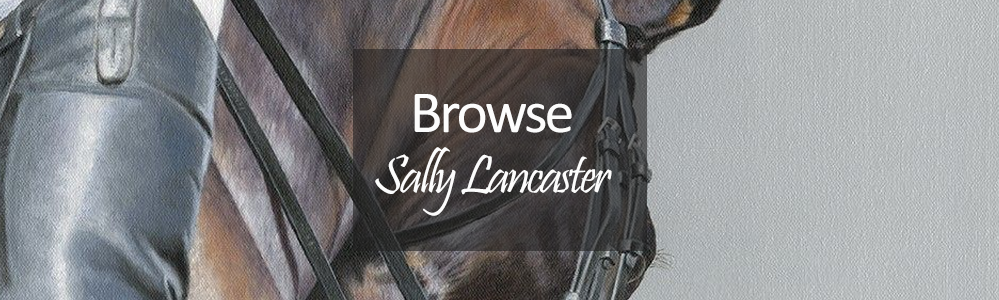 Sally Lancaster Prints