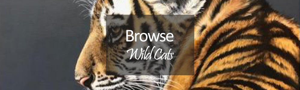 Wild Cat artwork - big cat tiger painting by Gina Hawkshaw